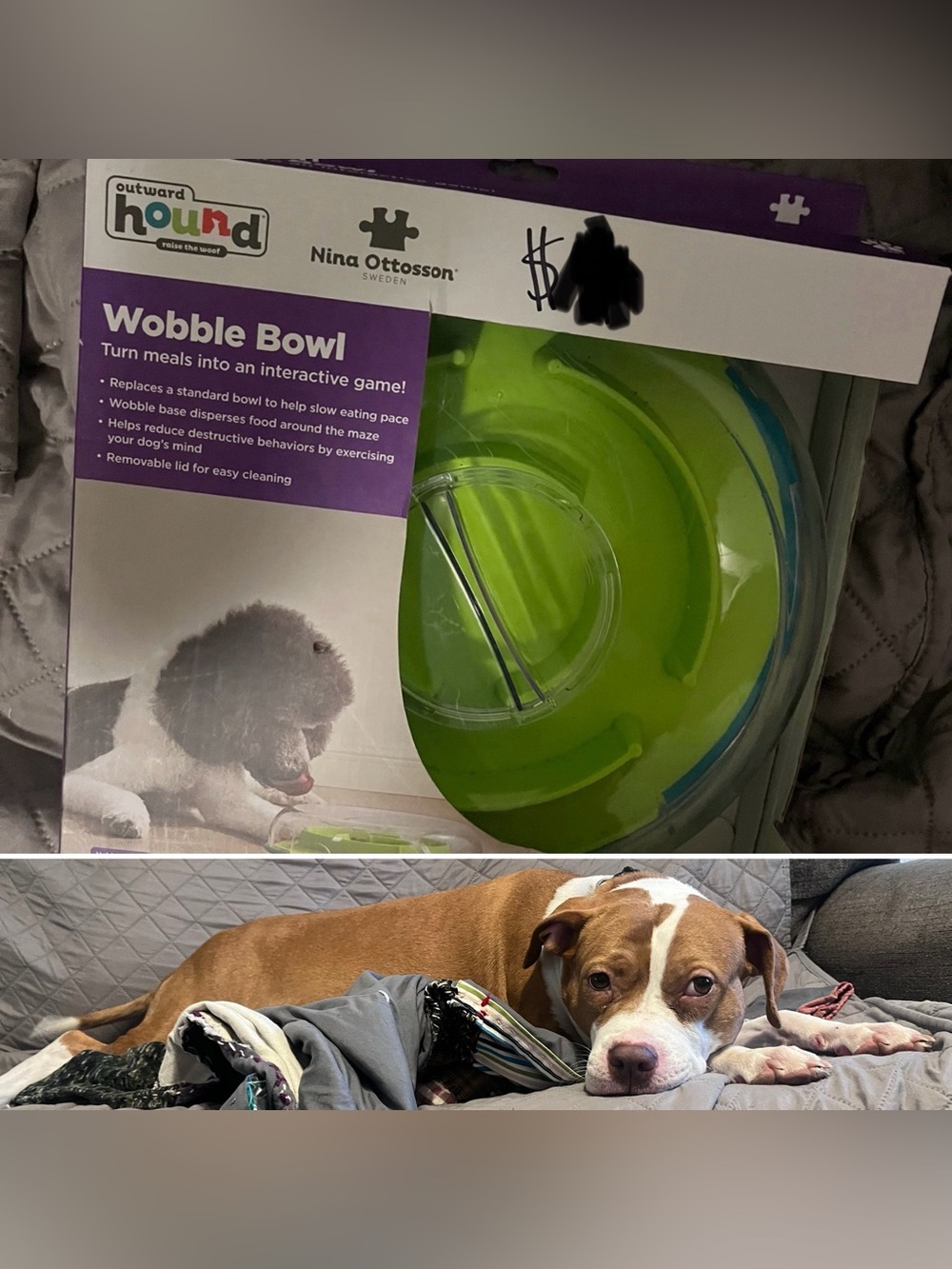 Outward Hound Lime Green & Blue Wobble Bowl Interactive Slow Feeder